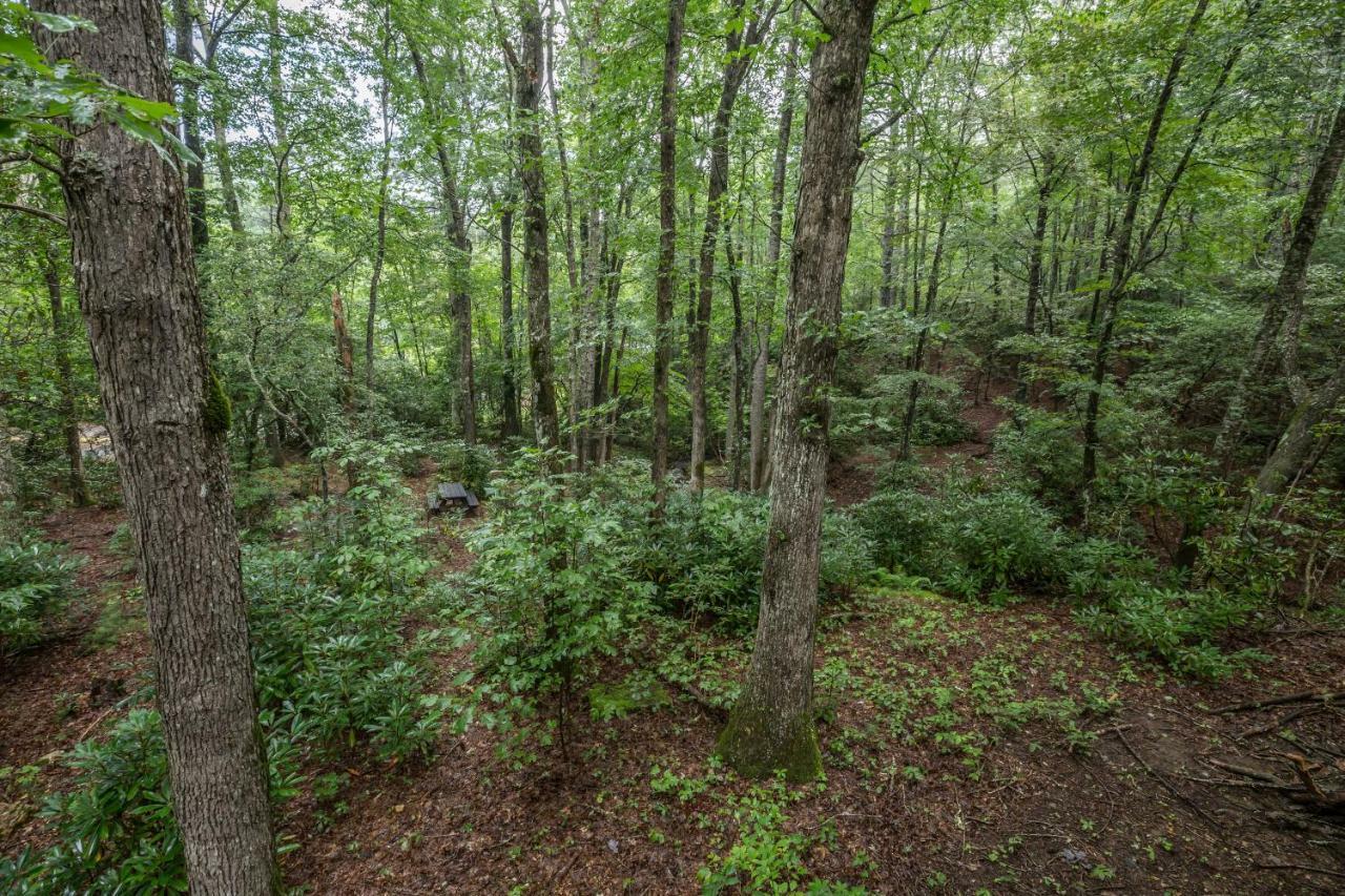 Springmaid Mountain Villa Spruce Pine Екстериор снимка