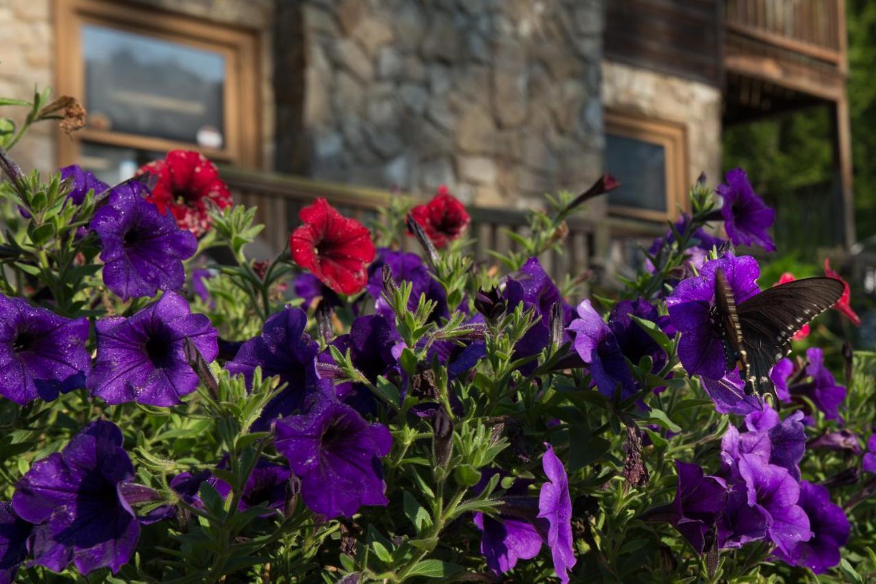 Springmaid Mountain Villa Spruce Pine Екстериор снимка
